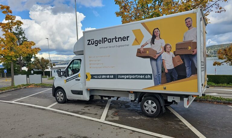 Umzugskarton Würenlingen